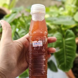 ชาดำเย็น