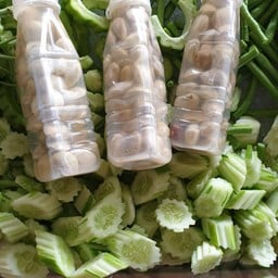 สะตอดอง