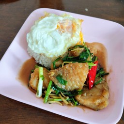 ข้าวราดปลาผัดขึ้นฉ่าย