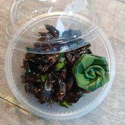 จิ้งหรีดไข่ทอด