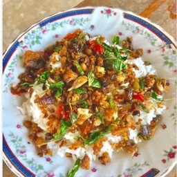 ข้าวราดกะเพราปลาช่อนกรอบ