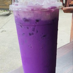 เผือกนมสด