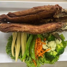 ปลาช่อนแดดเดียว.