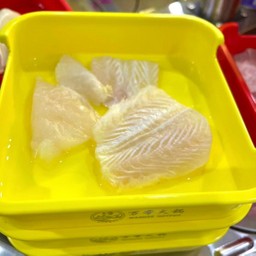 ปลาดอลลี่