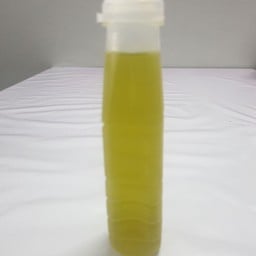 น้ำวุ้นใบเตย