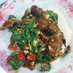 กระเพราปลาดุกราดข้าว