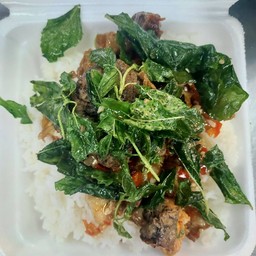 กระเพราหมูสับไข่เยี่ยวม้าราดข้าว