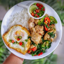 ข้าวขี้เมาไก่