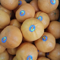 ส้ม ออสเตรเลีย