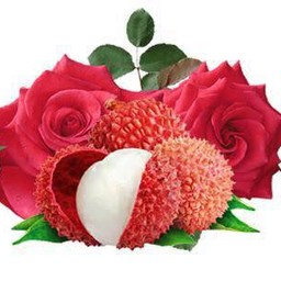 กุหลาบลิ้นจี่โซดา