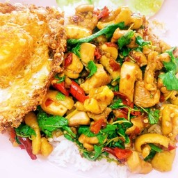 ผัดกระเพราไก่ ราดข้าว