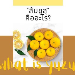 ยูสุโซดา