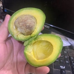 (สุก)อโวคาโด ปีเตอร์สัน