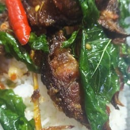 ผัดเผ็ดปลาดุกทอดร้าดข้าว