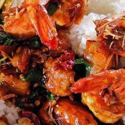 กระเพรากุ้ง