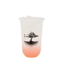 ลิ้นจี่โซดา