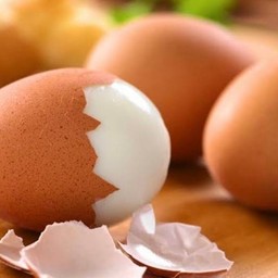 ไข่ต้ม