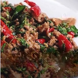 -กระเพรา ไก่(กับข้าว)