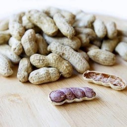 ถั่วต้มพร้อมทาน