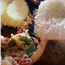-ข้าวราดกระเพรา (หมึก กุ้ง ทะเล)
