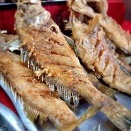 ปลาเก๋า