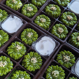 เปียกปูน สด