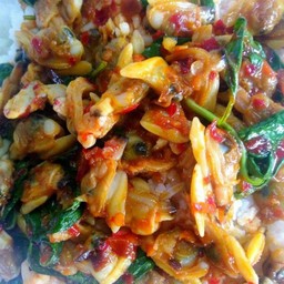 ผัดหอยลาย พริกเผาใบโหระพา