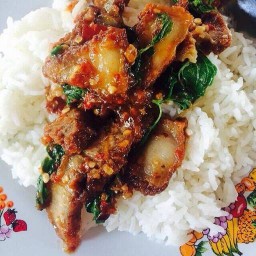 กระเพรา&แหนมทองเงินล้าน By_Chananya