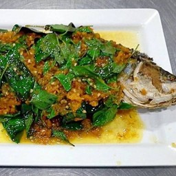 ปลากะพงขาว