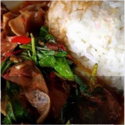 -ข้าวราดกระเพราหมูตุ๋น