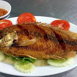 ปลาทับทิม