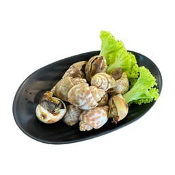 หอยหวานเผา (500 g)