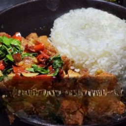 -ข้าวไก่กรอบ ซอสกระเพรา