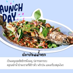 ปลาช่อนน้ำตก