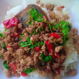 กระเพราไข่เยี่ยวม้าราดข้าว