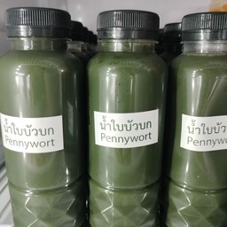 น้ำใบบัวบก