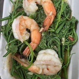 แม้วกุ้งสด