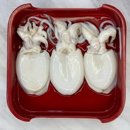 ปลาหมึกสด