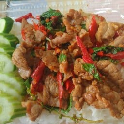 อาหารตามสั่งป้าจิ๋ม วัดป่าฯ