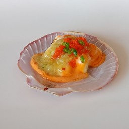 หอยเชลล์ฝาติด