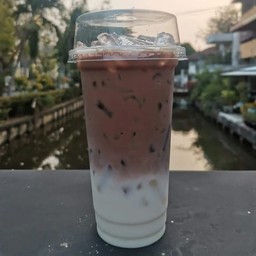 โกโก้ มิ้นท์