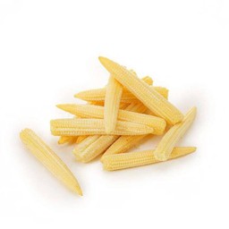 ข้าวโพดอ่อน