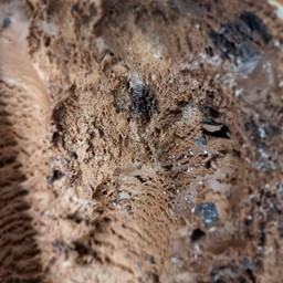 ช็อคบราวนี่