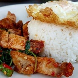 ผัดกะเพราหมูกรอบราดข้าว