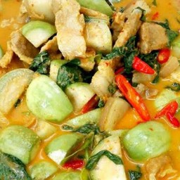 @@แกงเผ็ดกะทิมะเขือเปราะ กับข้าว@@