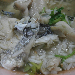 ข้าวต้มเนื้อปลากระพง(เนื้อปลากระพง)