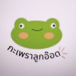ลูกอ๊อดกะเพราตั้งหลัก(ตามสั่ง จานเดียว น้ำ ขนม)