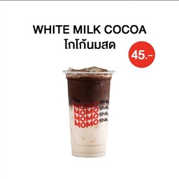 โกโก้นมสด