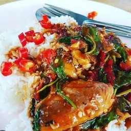 กะเพราปลากระป๋องราดข้าว