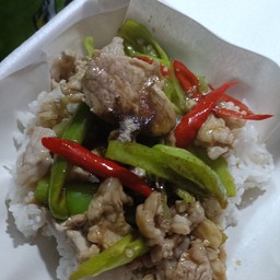ผัดพริกหยวก (ระบุเนื้อ)